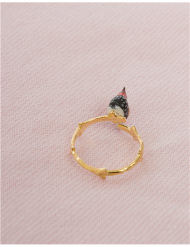 Anillo pájaro pinzón