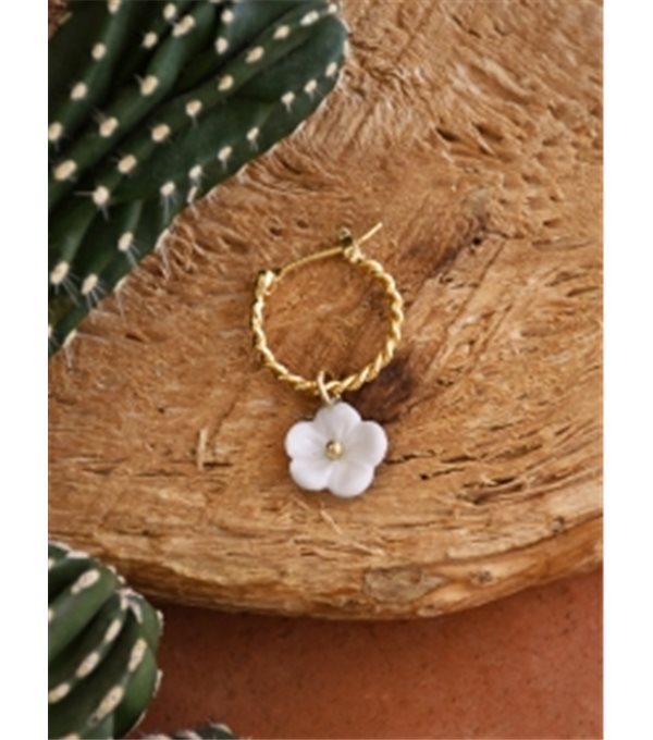 Arito dorado - flor blanca Arito dorado - flor blanca