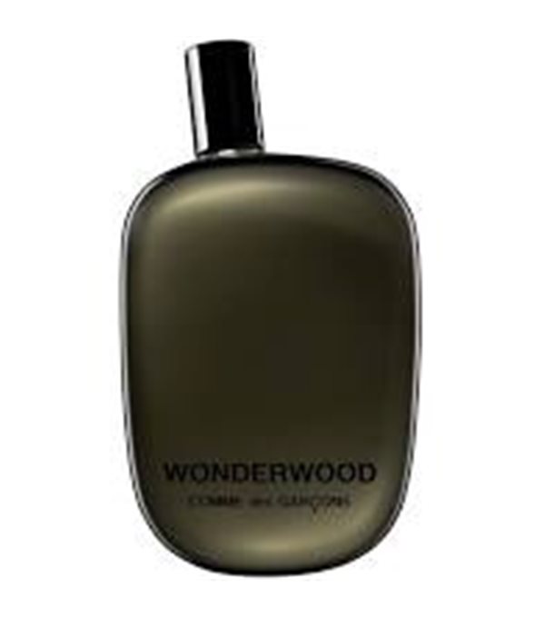 EAU  PARFUM WONDERWOOD 100ML